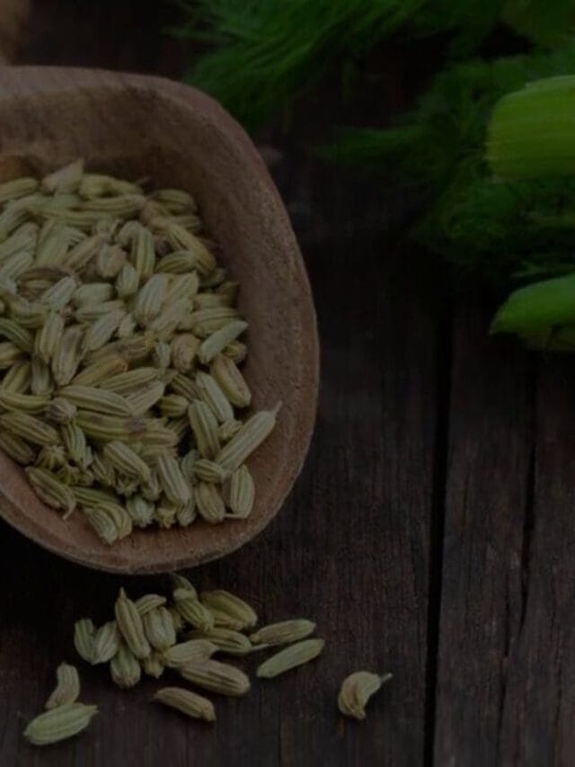 7 Benefits Of Fennel Seeds OVER Age 50