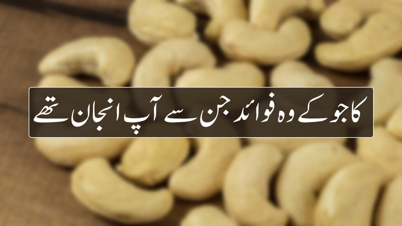 کاجو کے وہ فوائد جن سے آپ انجان تھے