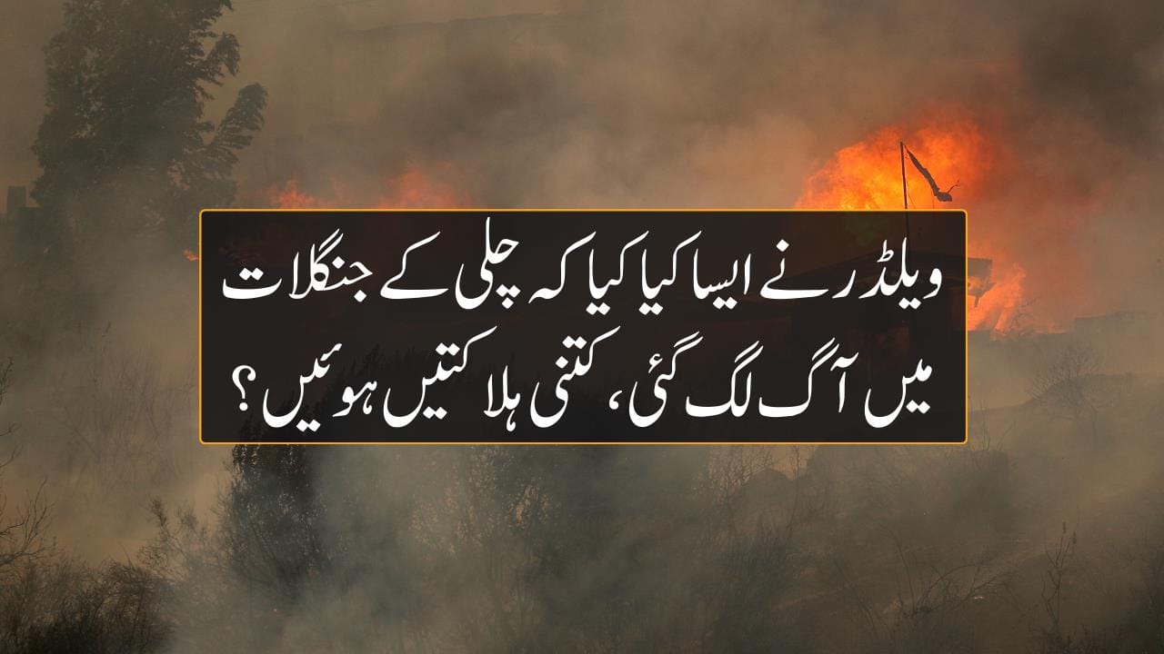 ویلڈر کی بے احتیاطی ،چلی کے جنگلات میں خوفناک آگ لگ گئی ،کتنی ہلاکتیں ہوئیں ؟