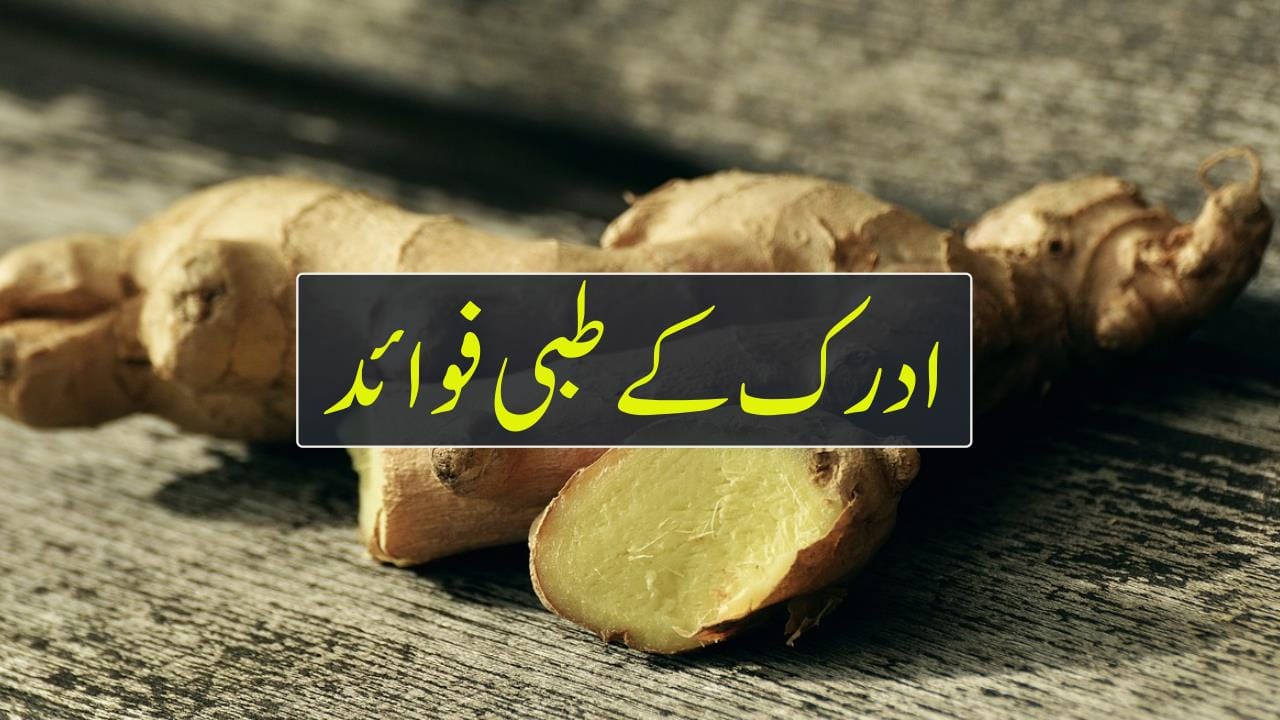 ادرک کے طبی فوائد