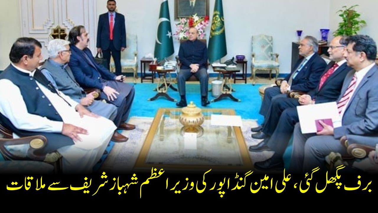 برف پگھل گئی ، علی امین گنڈا پور کی وزیر اعظم شہباز شریف سے ملاقات