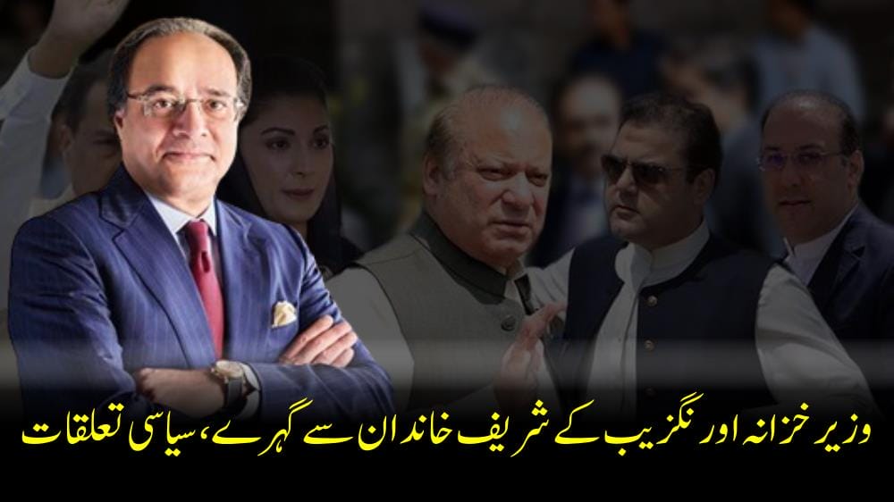 وزیر خزانہ اورنگزیب کے شریف خاندان سے گہرے، سیاسی تعلقات