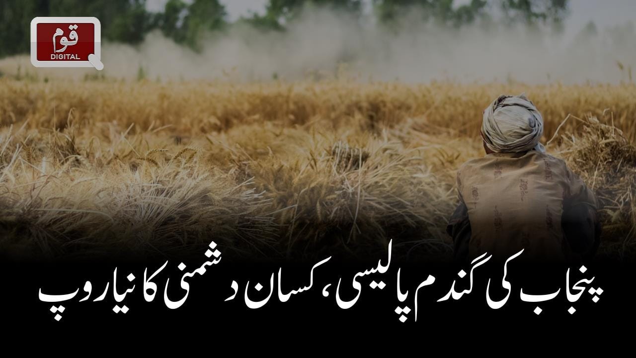 پنجاب کی گندم پالیسی،کسان دشمنی کا نیا روپ