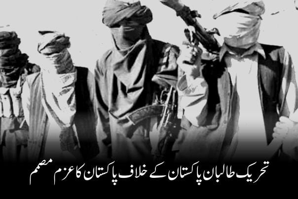 تحریک طالبان پاکستان کے خلاف پاکستان کاعزم مصمم