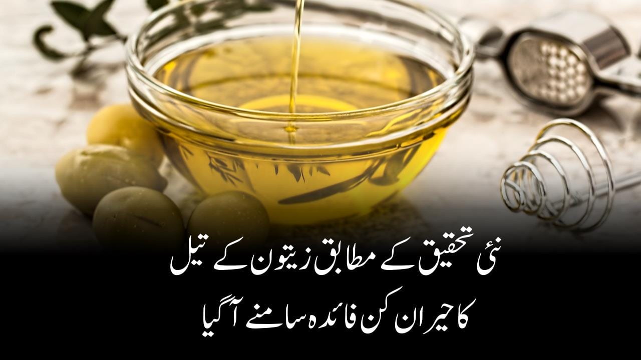 olive oil, olive oil benefits, olive oil for hair, olive oil for face, olive oil for hair growth, olive oil extra virgin, olive oil for cooking, olive oil for skin, olive oil kya hota hai, olive oil peene ke fayde, olive oil in Pakistan, olive oil price in Pakistan, olive oil benefits for skin, olive oil benefits for hair,
