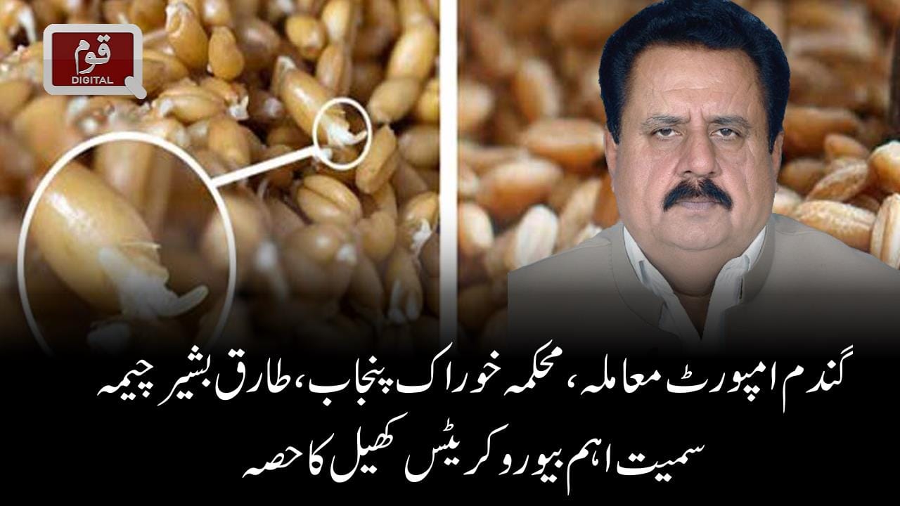گندم امپورٹ معاملہ،محکمہ خوراک پنجاب،طارق بشیرچیمہ سمیت اہم بیوروکریٹس کھیل کاحصہ