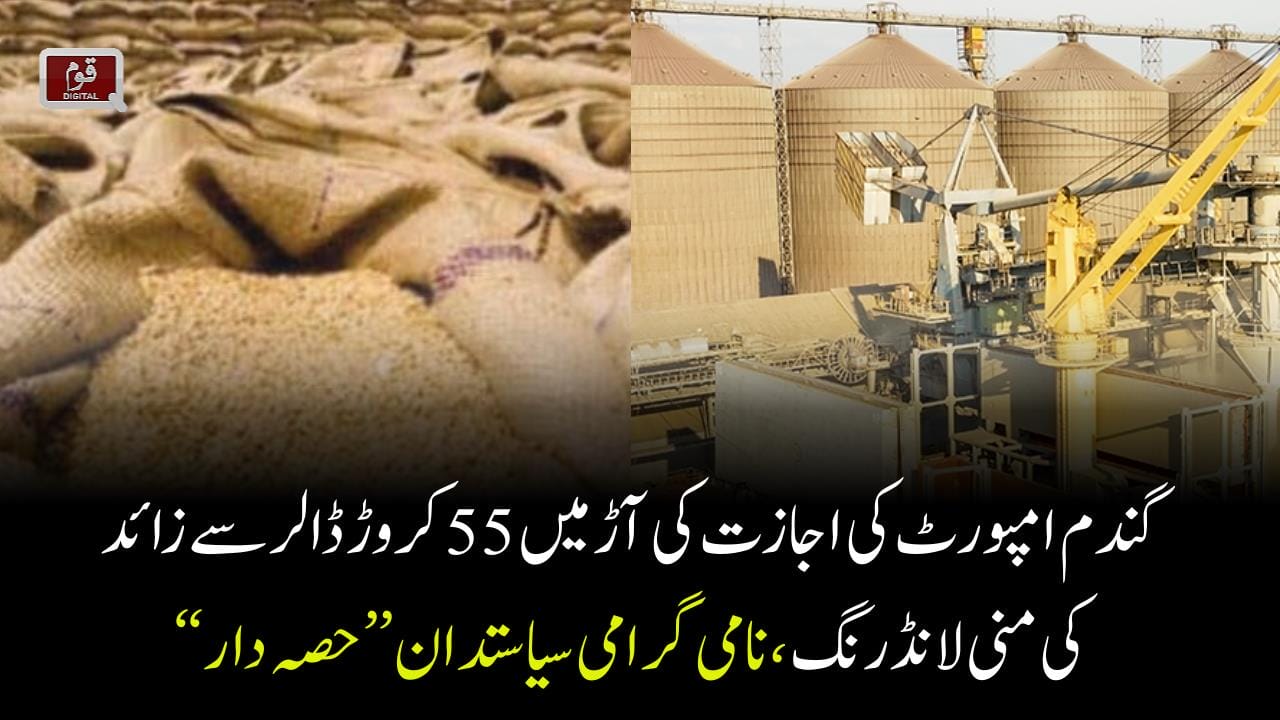 Wheat import scandal, the inquiry committee could not prepare the report till now