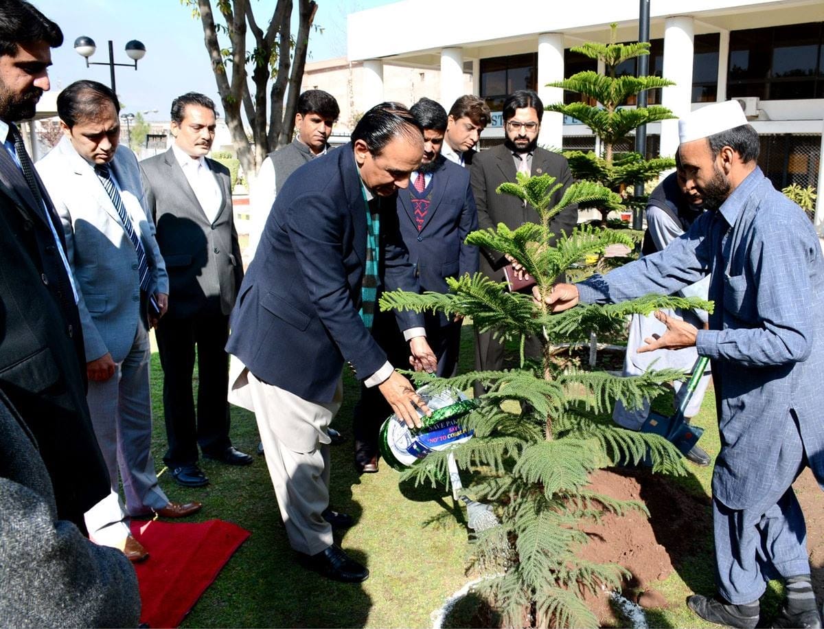 حکومت پنجاب نے موسمیاتی تبدیلی اور سموگ کے تدارک کے لیے جنوبی پنجاب میں ایگرو فارسٹری اسکیم متعارف کروا دی