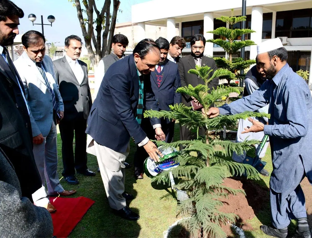 حکومت پنجاب نے موسمیاتی تبدیلی اور سموگ کے تدارک کے لیے جنوبی پنجاب میں ایگرو فارسٹری اسکیم متعارف کروا دی