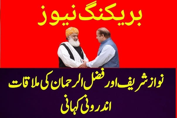 جھبیسویں آئینی ترمیم پر نواز شریف اور مولانا فضل الرحمن ملاقات کی اندرونی کہانی سامنے آگئی