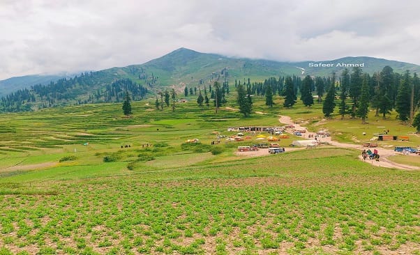 وادی کاغان، پاکستان کی خوبصورت اور حسین وادیوں میں سے ایک ہے