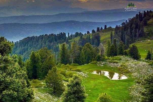 نتھیا گلی پاکستان کے مشہور اور خوبصورت سیاحتی مقامات میں سے ایک ہے۔