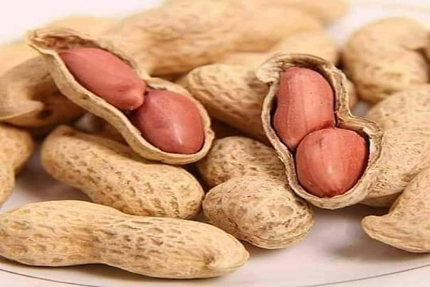 اردو اور پنجاب میں مونگ پھلی جبکہ انگریزی میں اسے گراونڈ نٹ یا پی نٹ کہتے ہیں،بنگلہ میں چنبا بادام گجراتی میں مانڈوی یا بھوئی چنے سندھی میں بوہی مگ کہتے ہیں