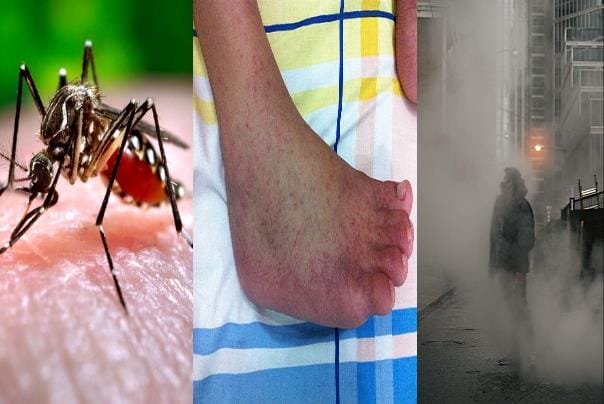 سموگ،ڈینگی،چکن گونیا سے کیسے بچیں ؟